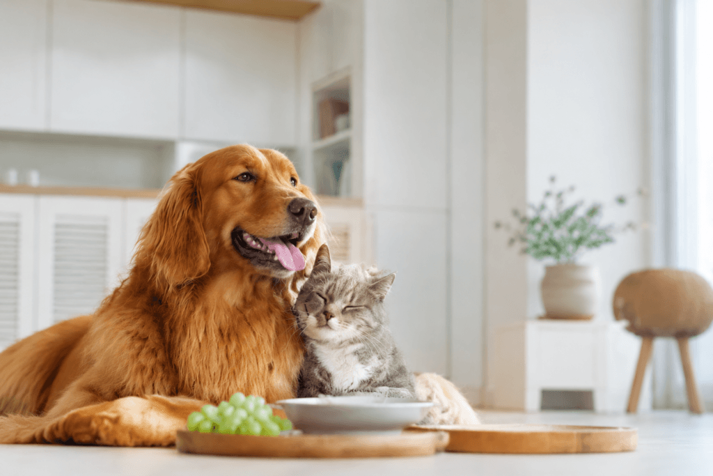 A Science-Backed Guide to Raising Resilient Puppies and Kittens in 2026