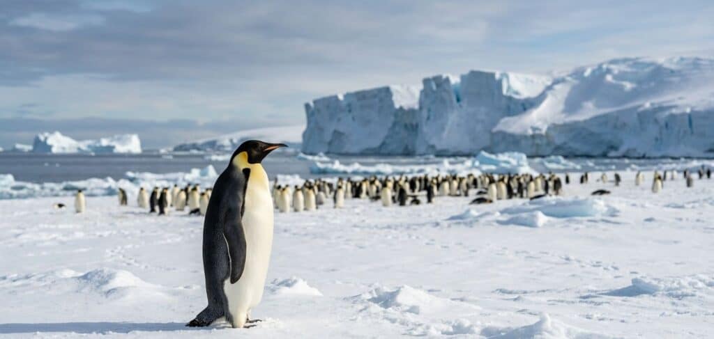 Latest Wildlife News